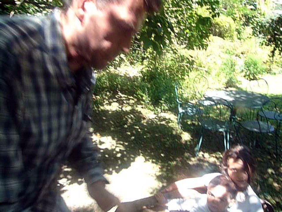 La brouette 1