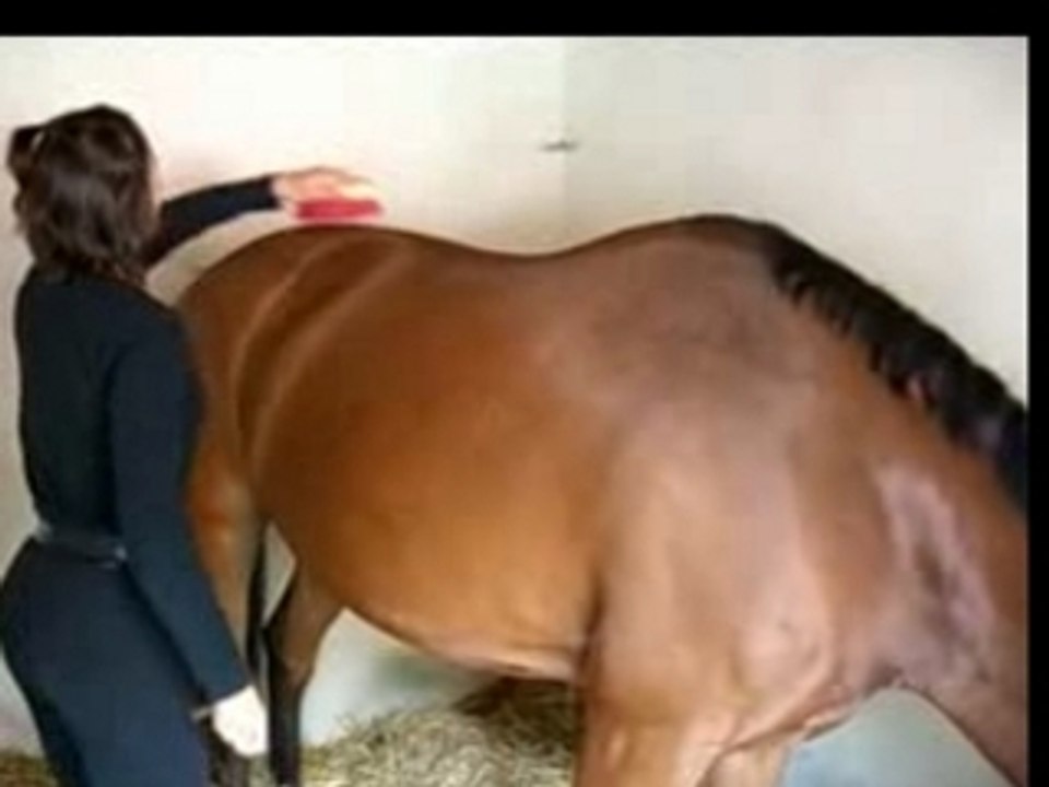 Cynthia - Danseuse du Lido reprise entrainement équestre