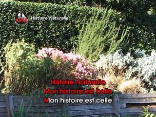 Histoire Naturelle Karaoké - Nolwenn Leroy*