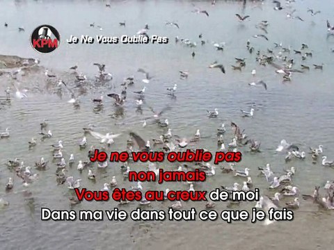 Je Ne Vous Oublie Pas Karaoké - Céline Dion*