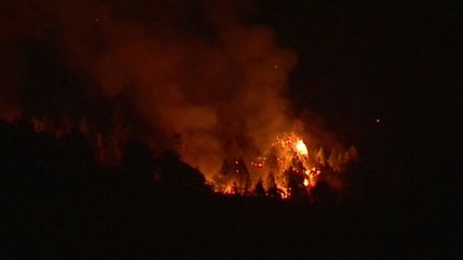 Ranger dies fighting Spanish island wildfire, German man arrested
