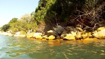 Mergulhar, Apneia,nos mares da Enseada, Ubatuba, Litoral Norte,  SP, Brasil, 2016, Marcelo Ambrogi, na praia do Pereque Mirim (7)