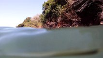 Mergulhar, Apneia,nos mares da Enseada, Ubatuba, Litoral Norte,  SP, Brasil, 2016, Marcelo Ambrogi, na praia do Pereque Mirim (8)