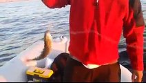Sırtı avı ile tekneden bereketli lüfer sarıkanat çinekop avlarımız
