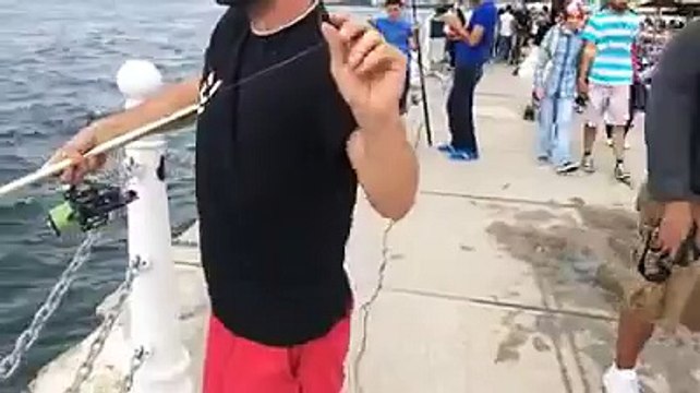üsküdarda kıyıdan at çek lüfer avı