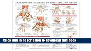 Books Anatomy and Injuries of the Hand and Wrist Anatomical Chart Free Online