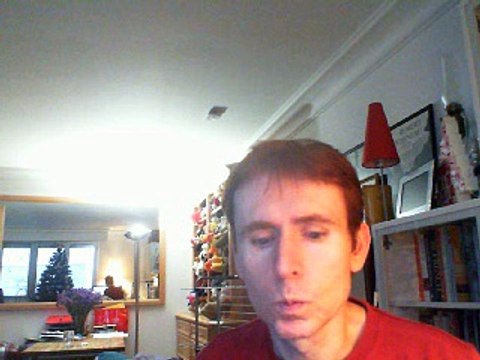 Wiwi égratigne vu d'un chien d'Ange