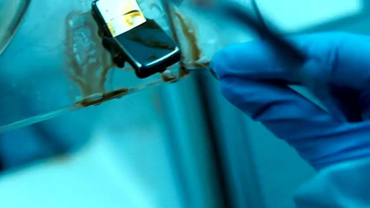 Splice VOST