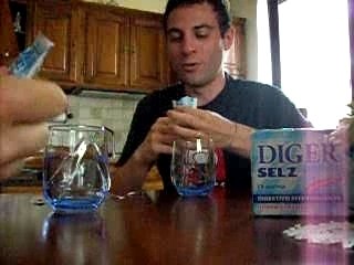 Diger Selz telenovela