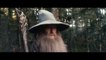Le Hobbit : La Désolation de Smaug - Extrait (6) VO