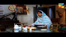 Pakeeza Episode 25 on Hum tv 4th August 2016