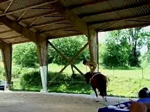 voltige équestre Ivan sur Carlos 2007