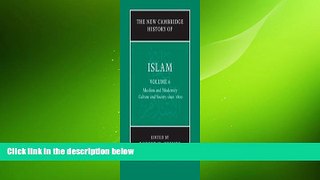 Free [PDF] Downlaod  The New Cambridge History of Islam (Volume 6) READ ONLINE