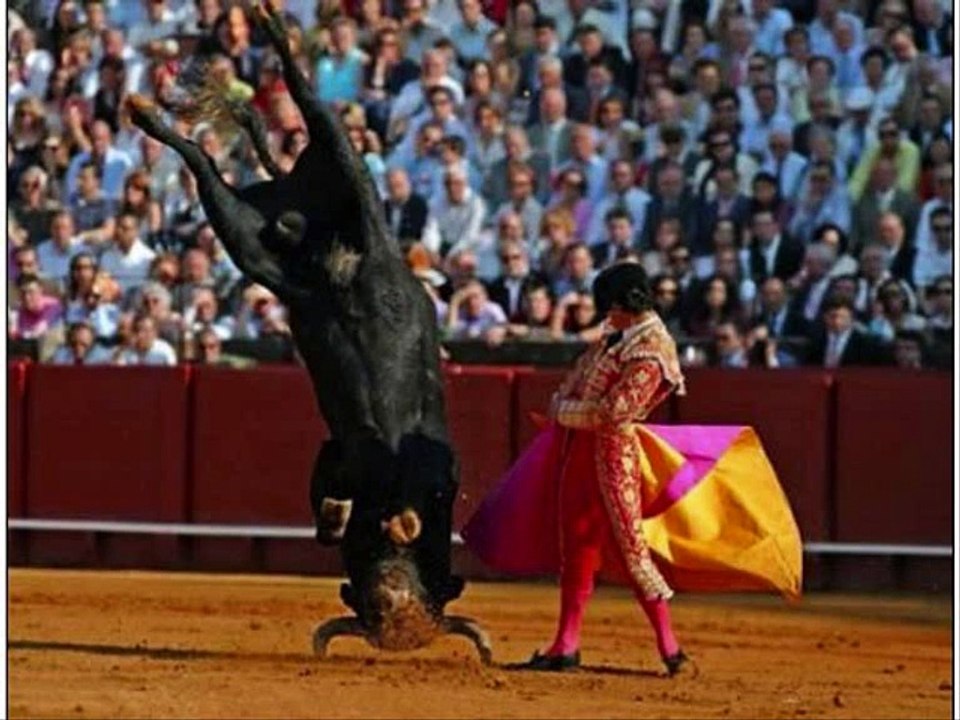 super funny animals