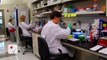 NIH May Lift Ban On Scientists Creating Part-Human, Part-Animal Embryos