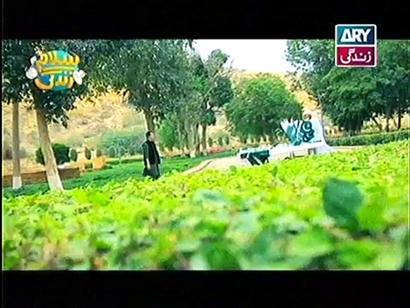 ⁣Shukria-pakistan OST-song-RELEASED-IN-SALAM-ZINDAGI-1-AUGUST-16-OST-song-shukria-pakistan