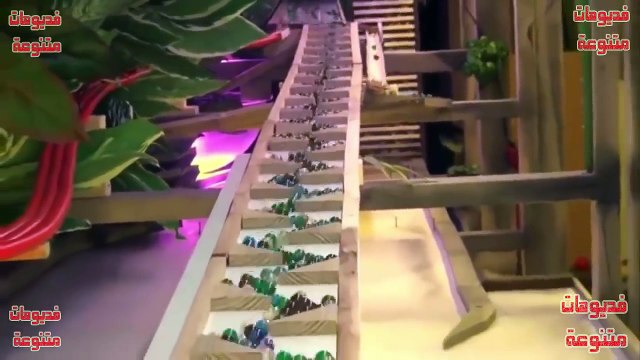فيديو يستحق المشاهدة اكتر من مره ابداع بمعنى الكلمة سبحان الله