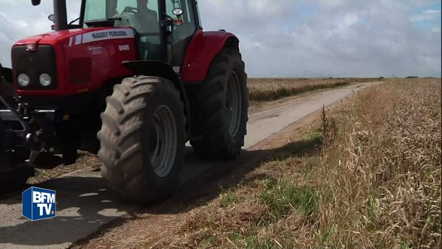 Les récoltes de blé touchées par le mauvais temps