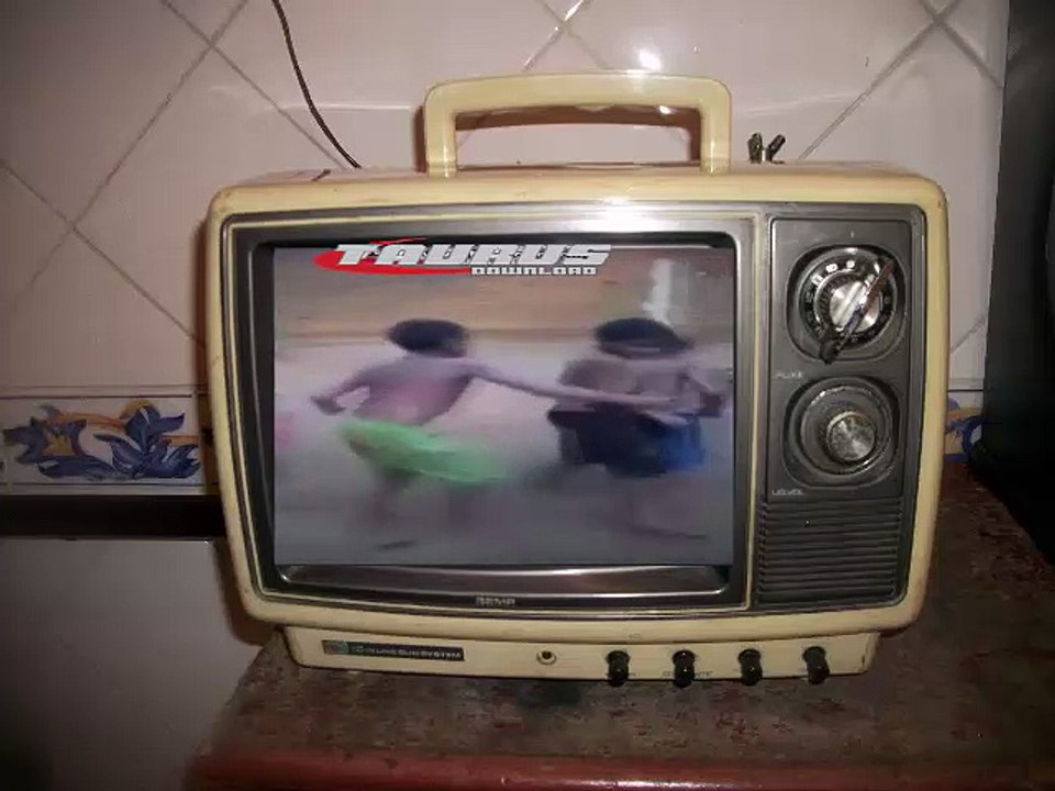 Cachorro dançando forro.