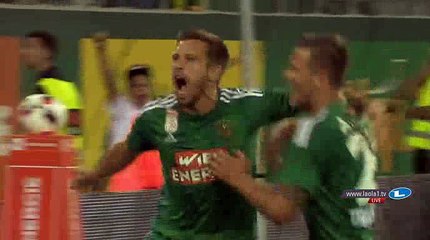 Thomas Schrammel Goal - Rapid Vienna 2-0 Zhodino - 04-08-2016