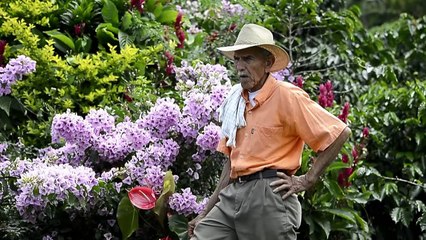 Desplazados en Colombia abren los brazos a excombatientes