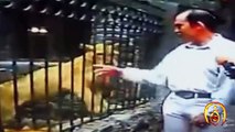 CRAZY lion attacks human - Must see! 1