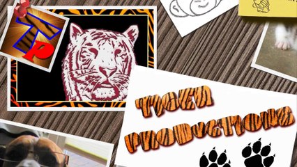 Cute piles of baby animals - Funny and cute animal compilation