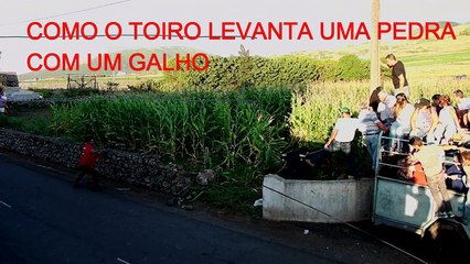 COMO O TOIRO LEVANTA UMA PEDRA COM O GALHO 1
