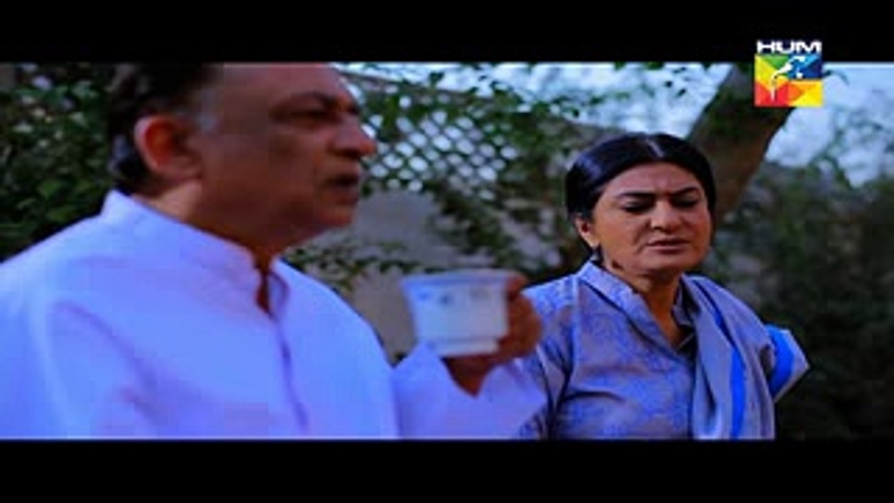 Deewana of  Episode 24 Full HD in  Hum TV Drama 4 August 2016,,