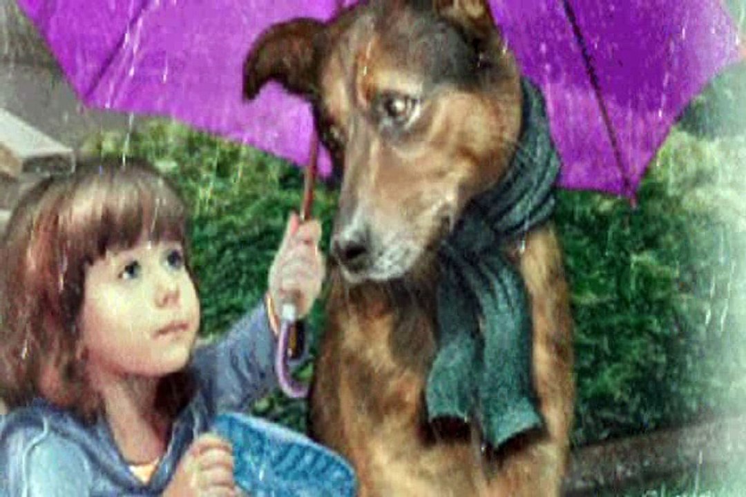 MEGHALT KUTYUSOK EMLÉKÉRE