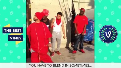 Anwar Jibawi Best Vines Compilation - Top Viners August 2015