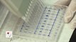 Promising Results from Early Zika Vaccine Trial