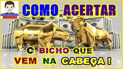 COMO ACERTAR O BICHO QUE VEM NA CABEÇA !!! HD