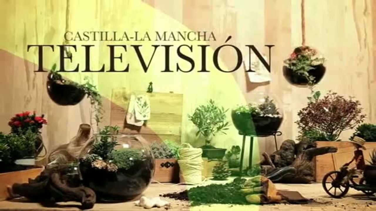 Castilla-La Mancha TV - Cortinilla Primavera (1) Abril-Junio 2016