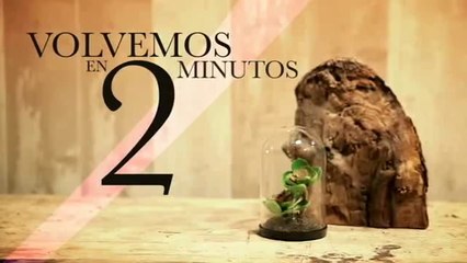 Castilla-La Mancha TV - Cortinilla 2 MINUTOS Primavera Abril-Junio 2016