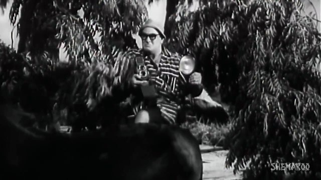 Pyar Ki Kasam Hai - Shammi Kapoor - Asha Parekh - Dil Deke Dekho - Rafi Asha Duet - Usha Khanna