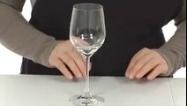 Top 5  Spiegelau Vino Vino Large White Wine Glass, Set of 4 Spiegelau Gla Review