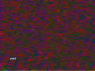 December 26, 1995 One Life To Live Bumpers