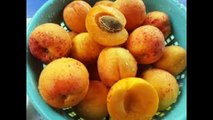 apricots - apricot fruit - Health Benefits of Apricots
