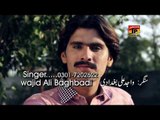 Dil Sada Khassi Wadaye - Wajid Ali Baghdadi - Latest Punjabi And Saraiki Song 2016
