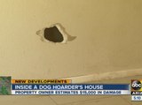 Property owner estimates $15,000 damage after dog hoarder was found inside a house