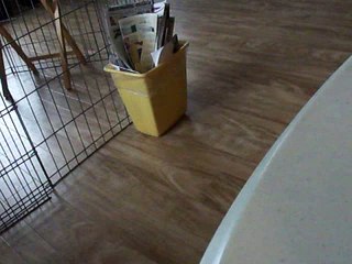 Waste Paper Basket 4