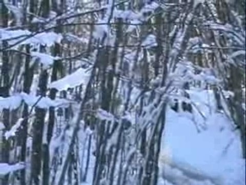 Suzuki Samurai 4x4 motore swift By Alle