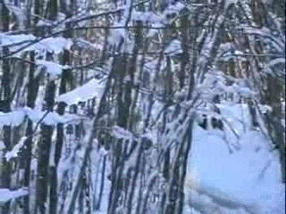 Suzuki Samurai 4x4 motore swift By Alle