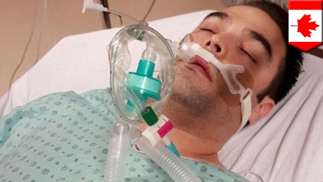 Severe allergic reaction: Waiter arrested after seafood puts customer in a coma - TomoNews