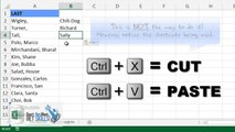 Excel Tips: Text To Columns- Thats Nice Ill take Care Of It - Separate Text into Columns