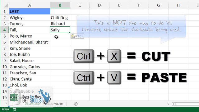 Excel Tips: Text To Columns- Thats Nice Ill take Care Of It - Separate Text into Columns