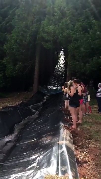 Un chien se fait éjecter au moment de passer sur un toboggan aquatique !