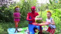 АРБУЗ ЧEЛЛЕНДЖ ВЗРЫВАЕМ АРБУЗ РЕЗИНКАМИ Игорек, Ярослава, Spiderman Exploding Watermelon Challenge