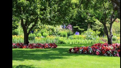 JNG Landscaping LLC - (561) 876-0571